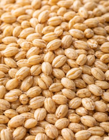 Canadian Barley Product
