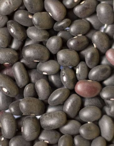 blackbeans