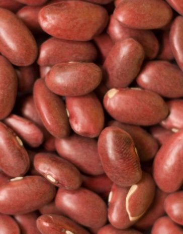 darkredkidneybeans