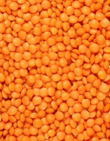 football-type-red-lentils