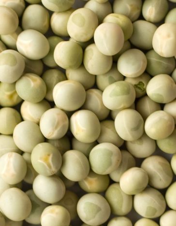 greenpeas