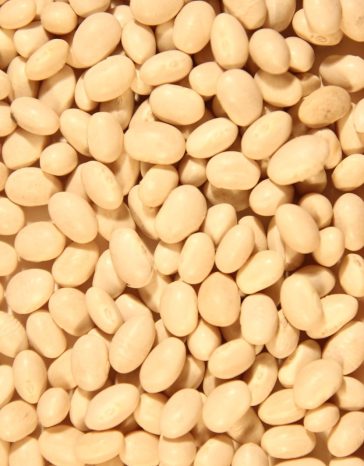 navy-beans