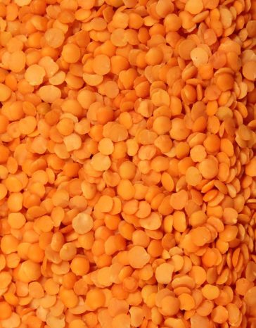 red-split-lentils