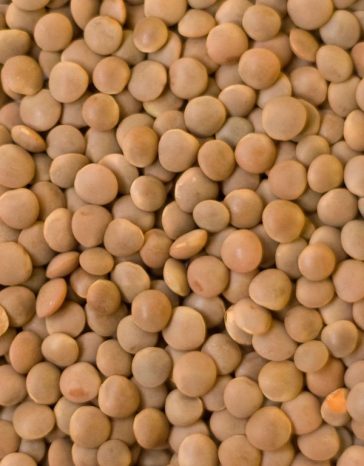 redlentil