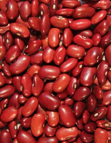 small-red-beans